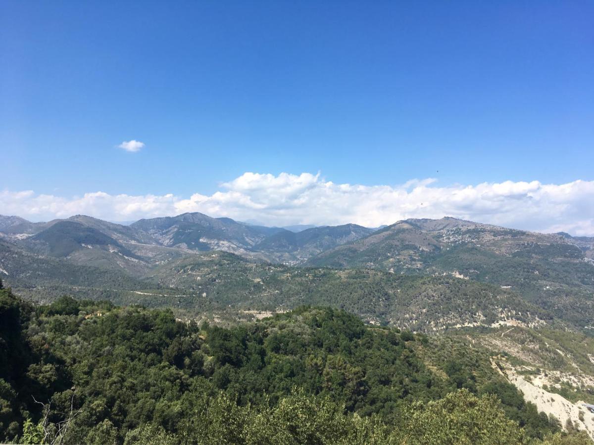 Logis Hotel Beausejour Berre-des-Alpes Dış mekan fotoğraf