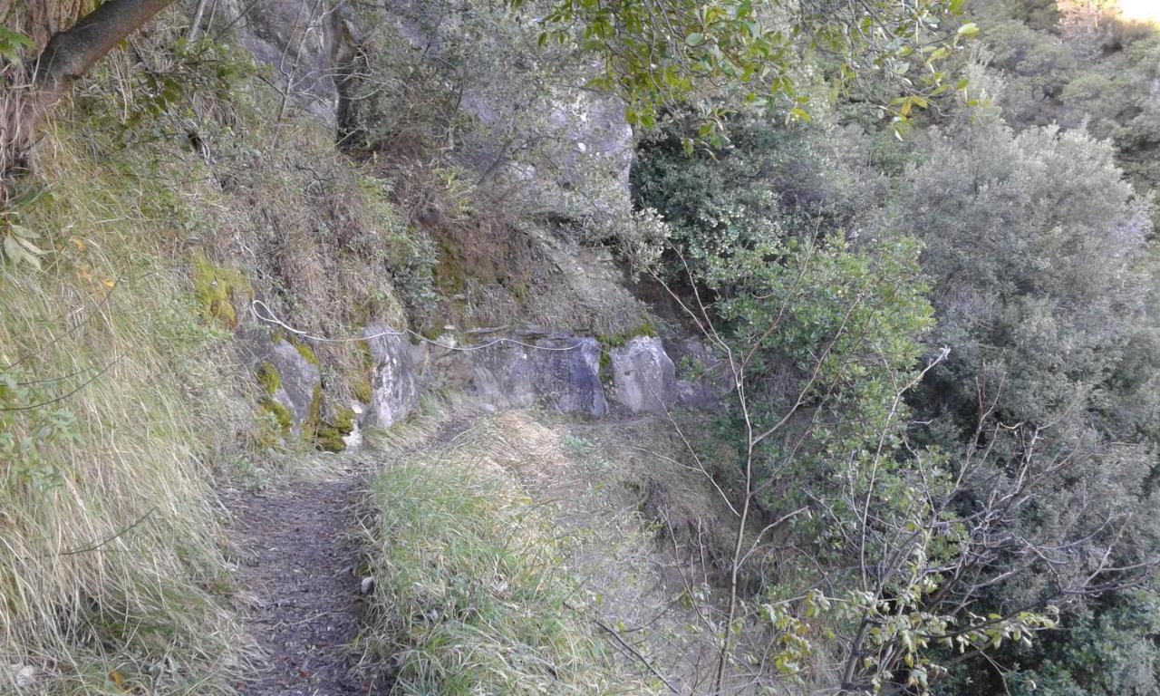 Logis Hotel Beausejour Berre-des-Alpes Dış mekan fotoğraf