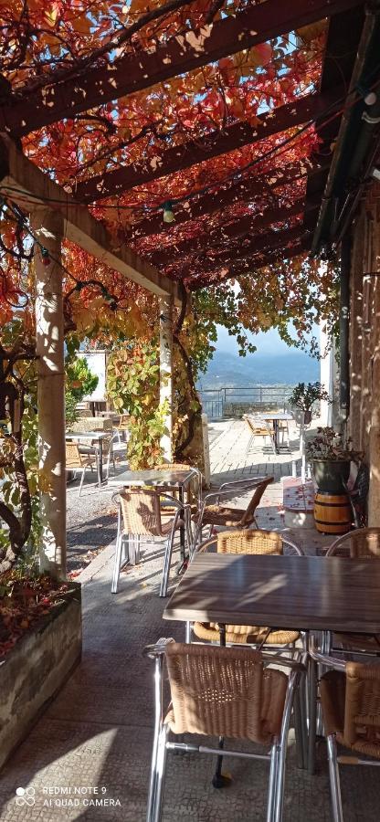Logis Hotel Beausejour Berre-des-Alpes Dış mekan fotoğraf